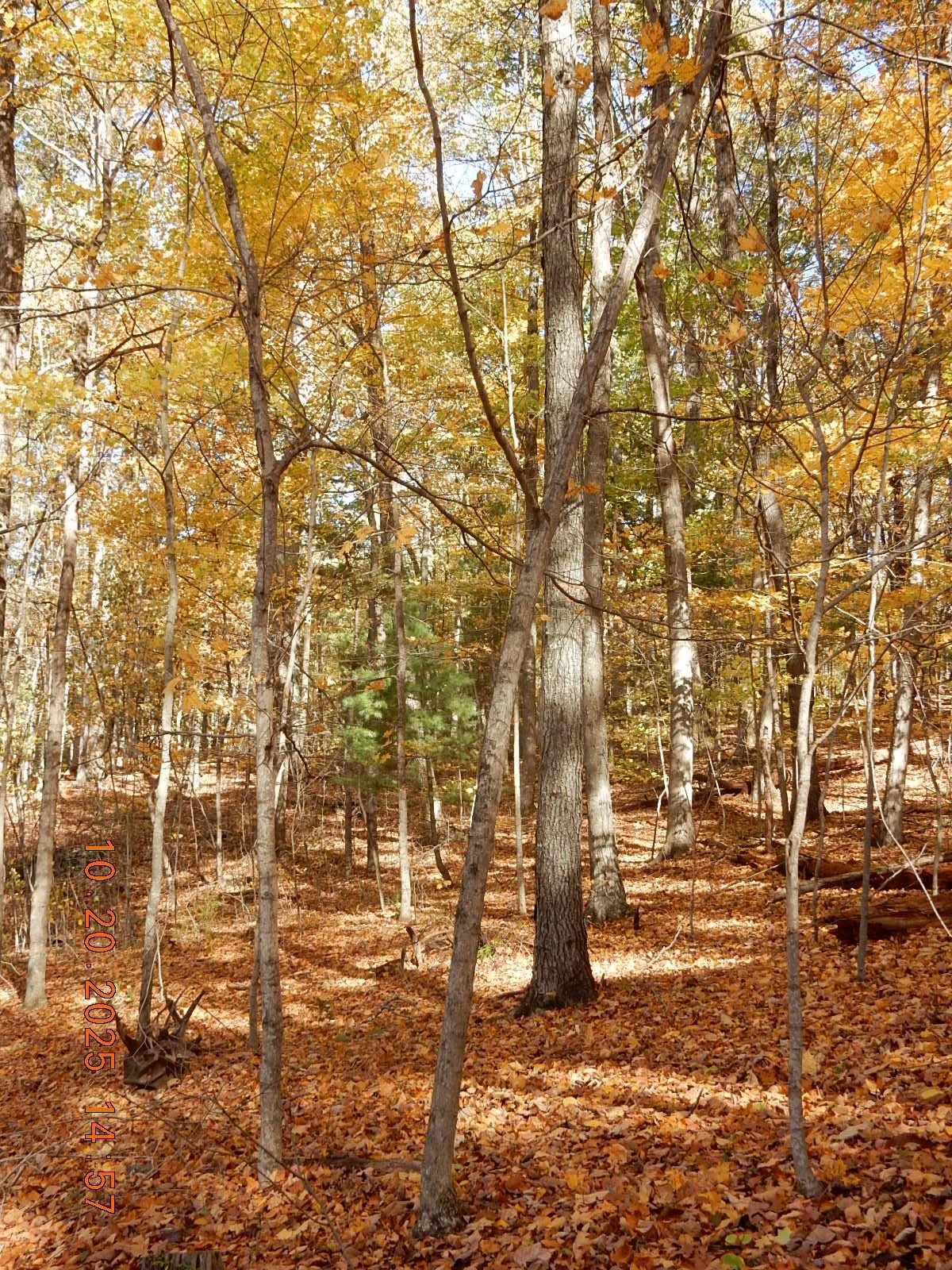 47 QUARRY HILL RD