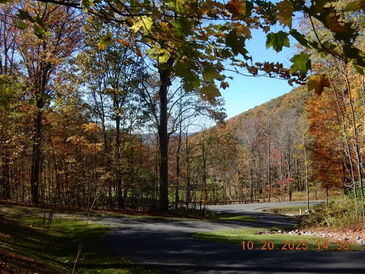 47 QUARRY DR, EAGLE ROCK, VA 24085 - Image b7a06ff4d309cd0ecdbd7a1d9623d64f/3551373339