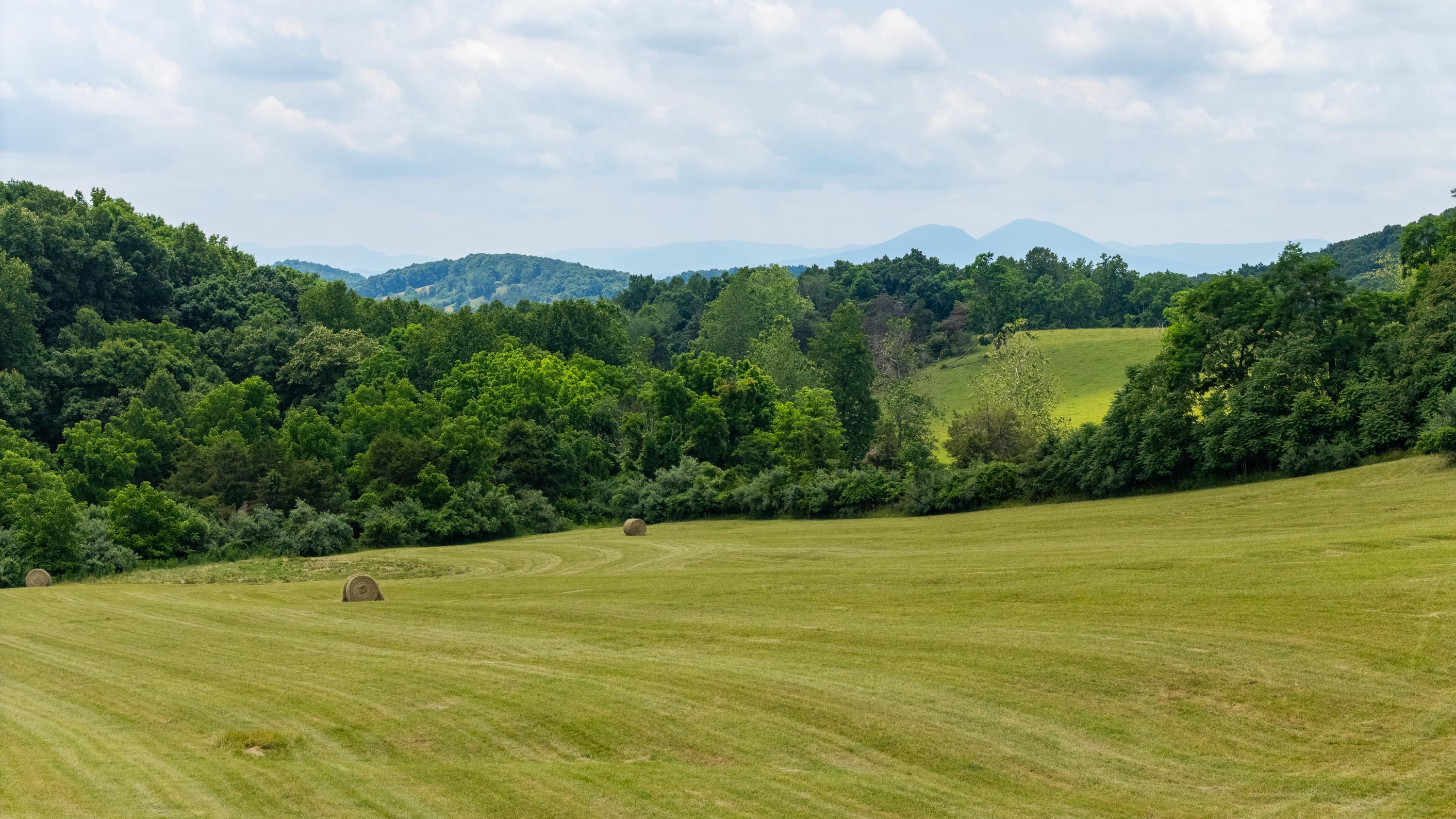 25 Koogler Trl, Raphine, VA, 24472