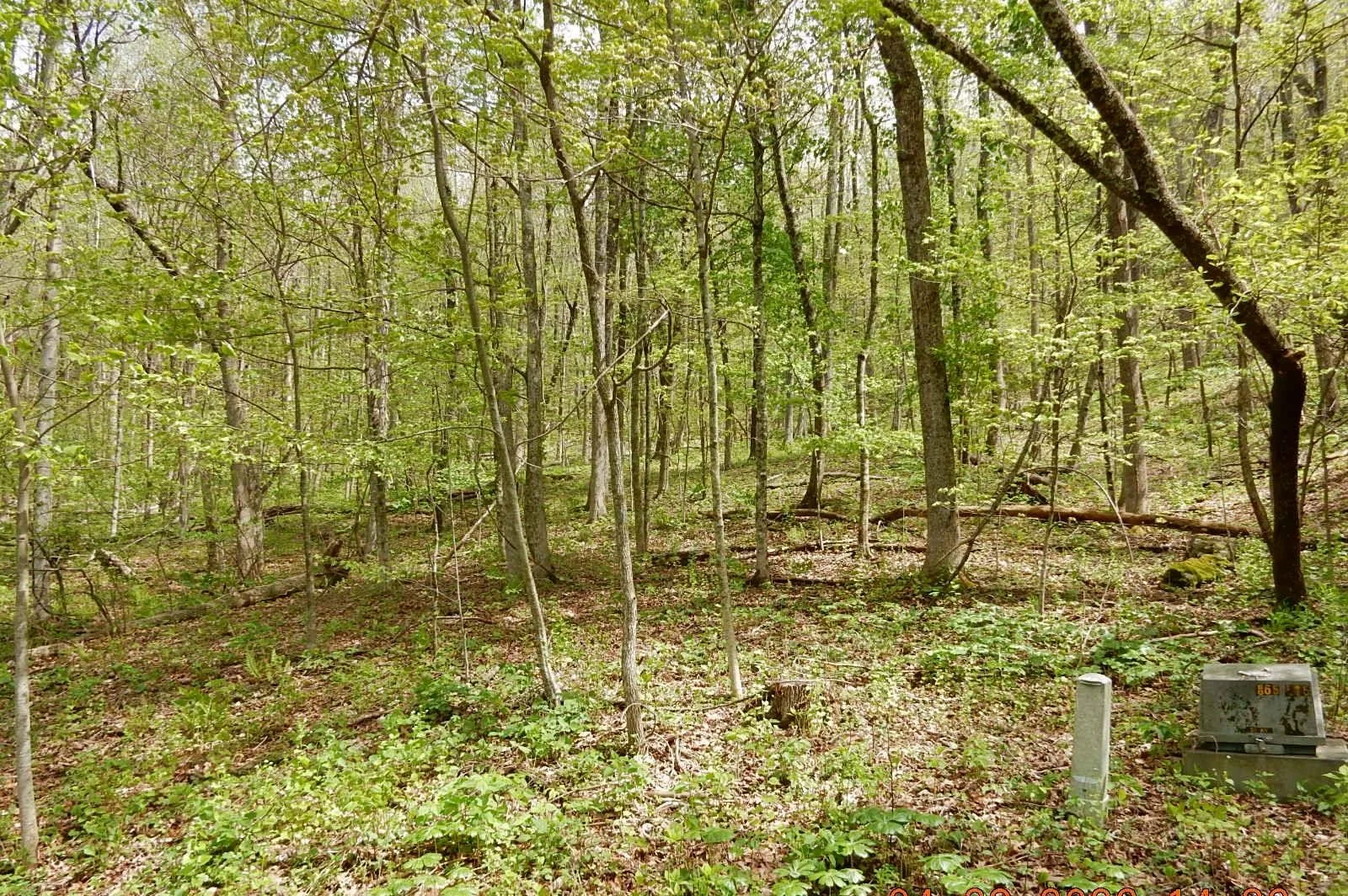 37 Flag Rock Trl, Hot Springs, VA, 24445