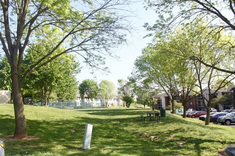 Photo for 1116 BLUE RIDGE DR 11
