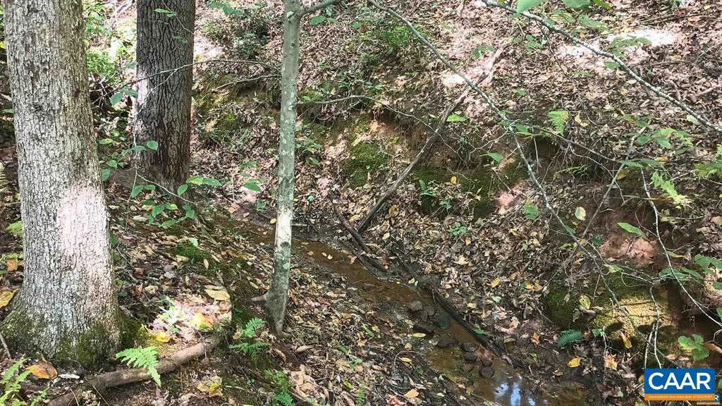 22 Piney Mountain Ln