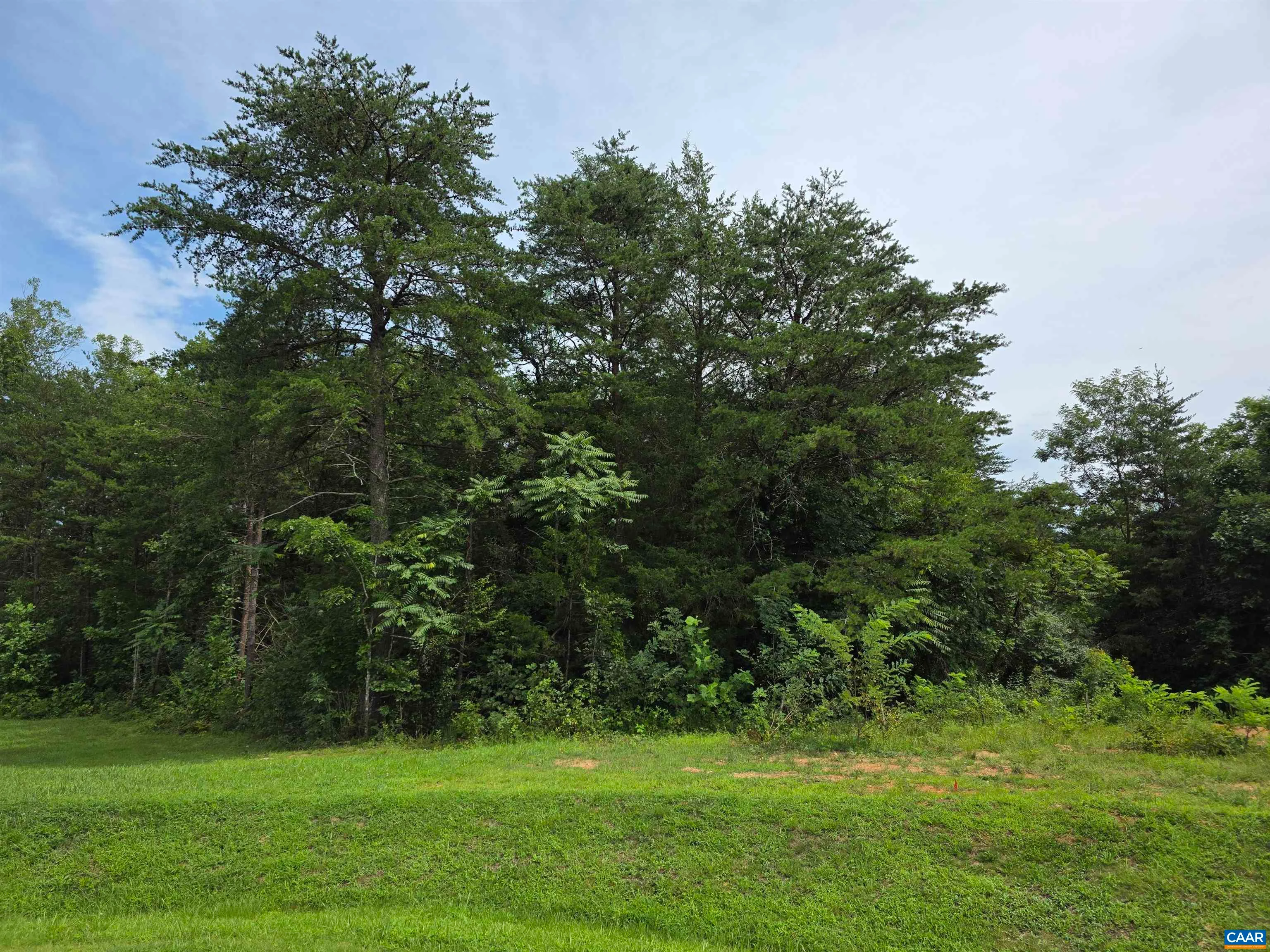 lot 12 Bartholomew Pl, Stanardsville, VA, 22973