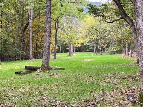 Photo for 81.5 Acres HOPKINS GAP RD