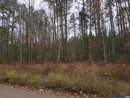 14 EVERGREEN DR, COLONIAL BEACH, VA 22443 - Image ca4e5afadb494b1d771067ee7b23bcc9/2734612517