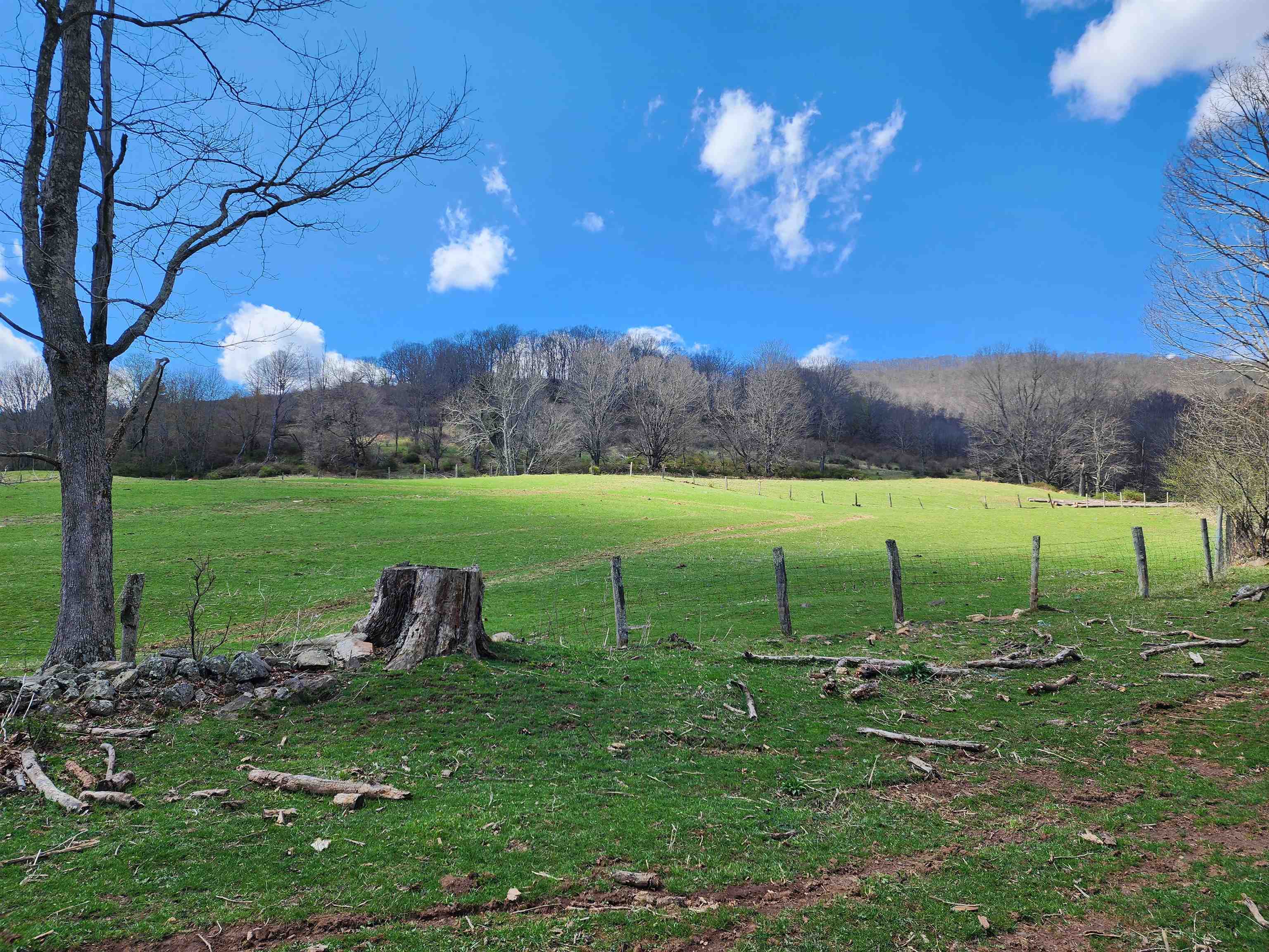 3356 JACKSON RIVER RD