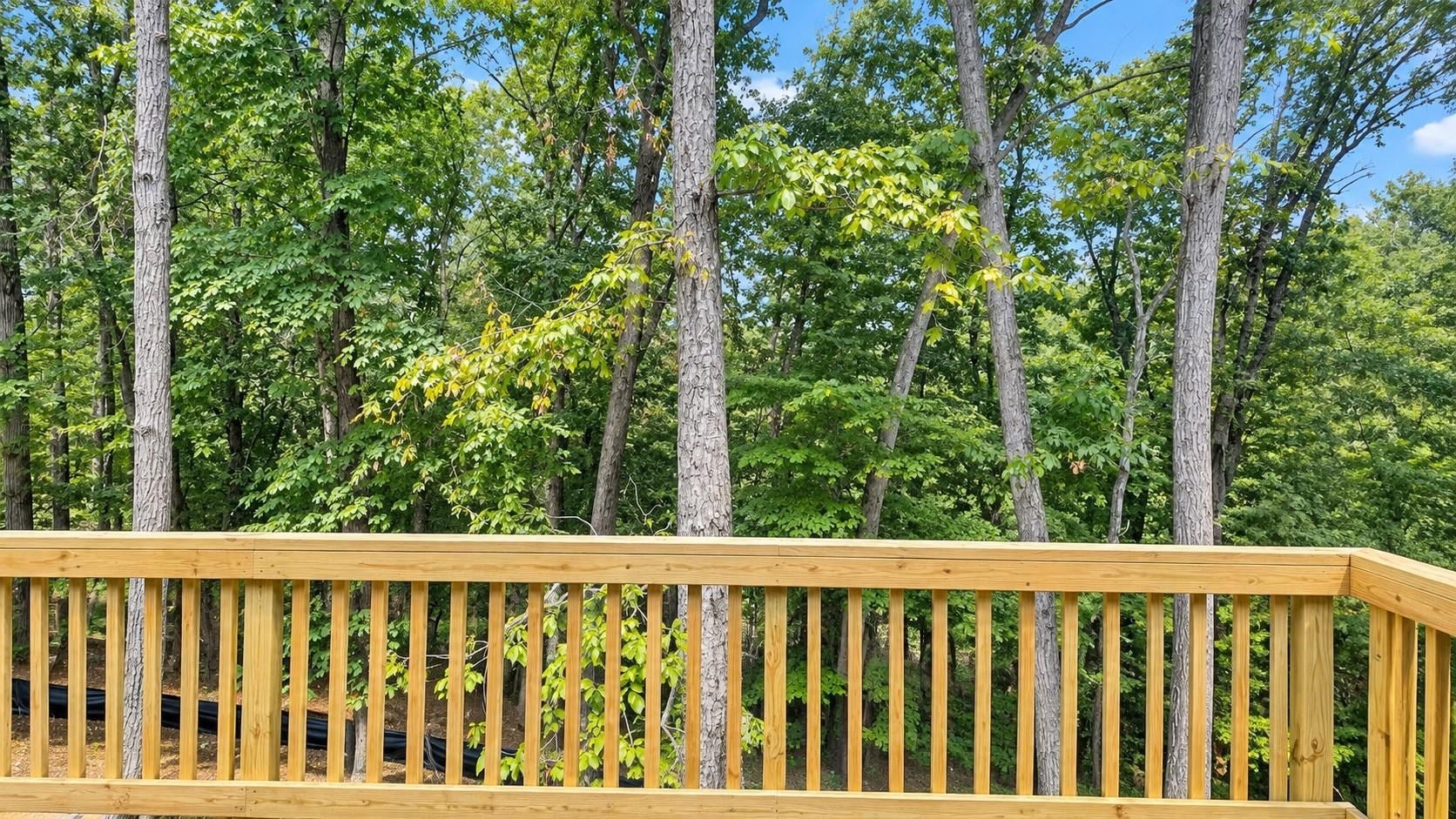 208 CREEK VALLEY DR