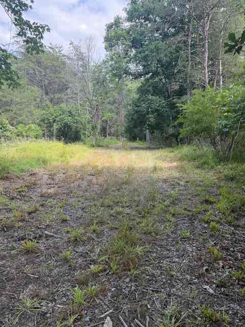 Photo for 11289 COWPASTURE RIVER HWY