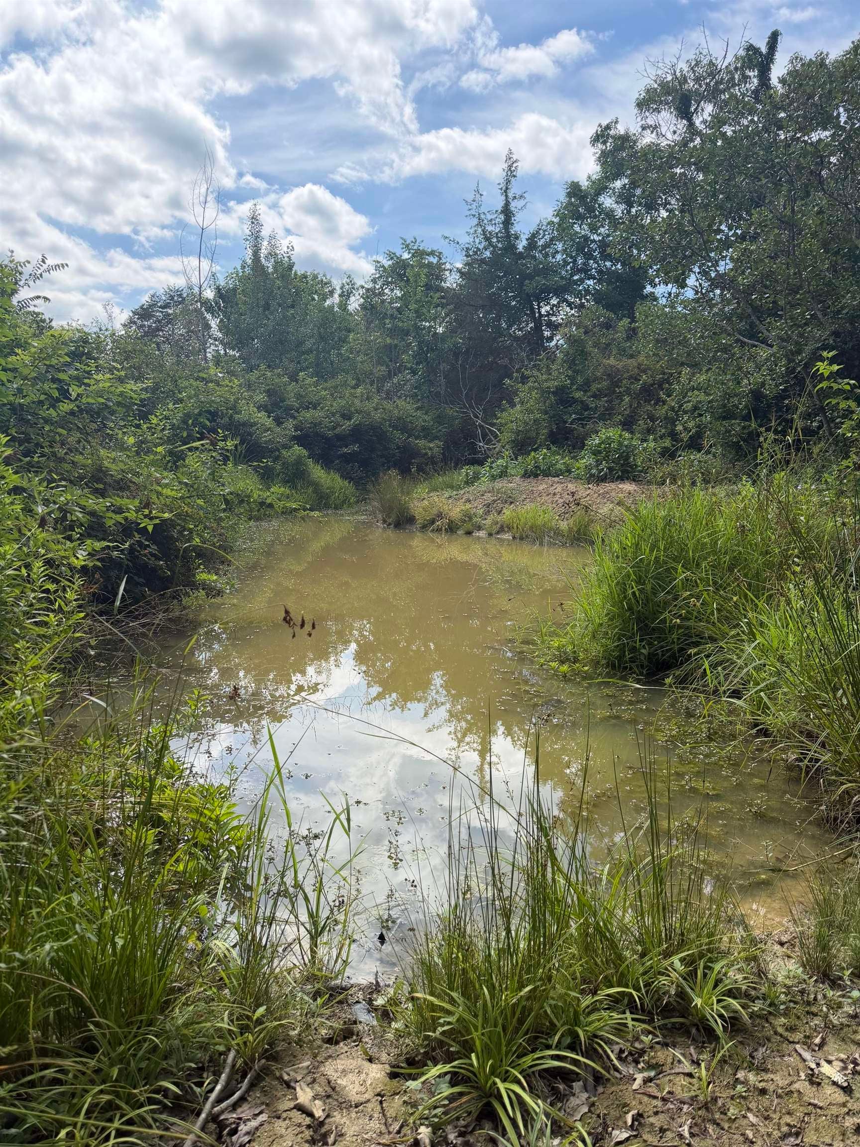 11289 COWPASTURE RIVER HWY