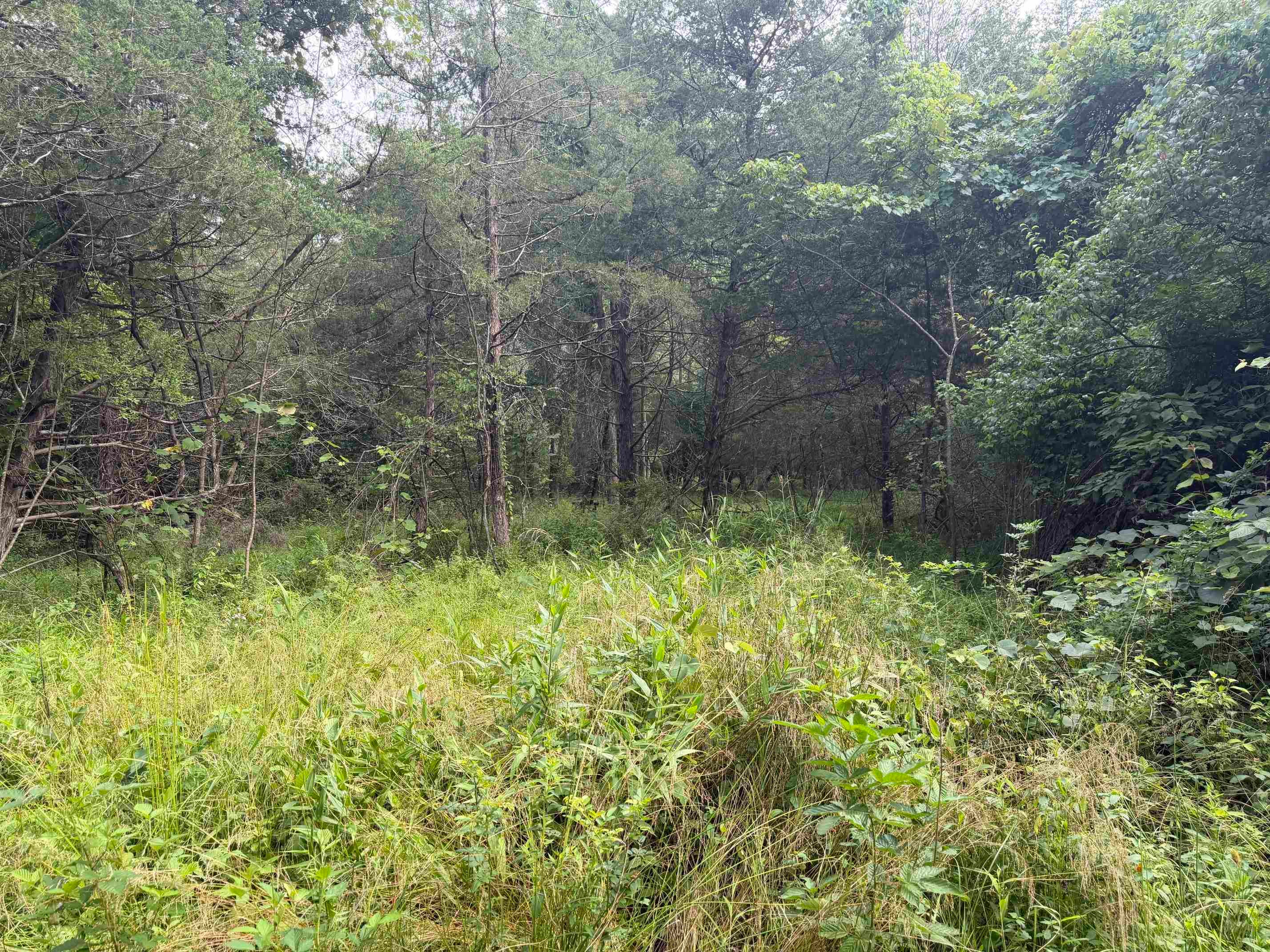 11289 COWPASTURE RIVER HWY