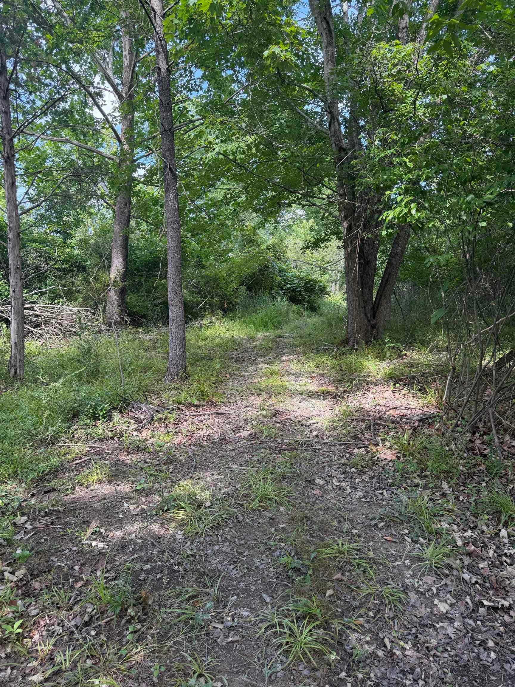 11289 COWPASTURE RIVER HWY