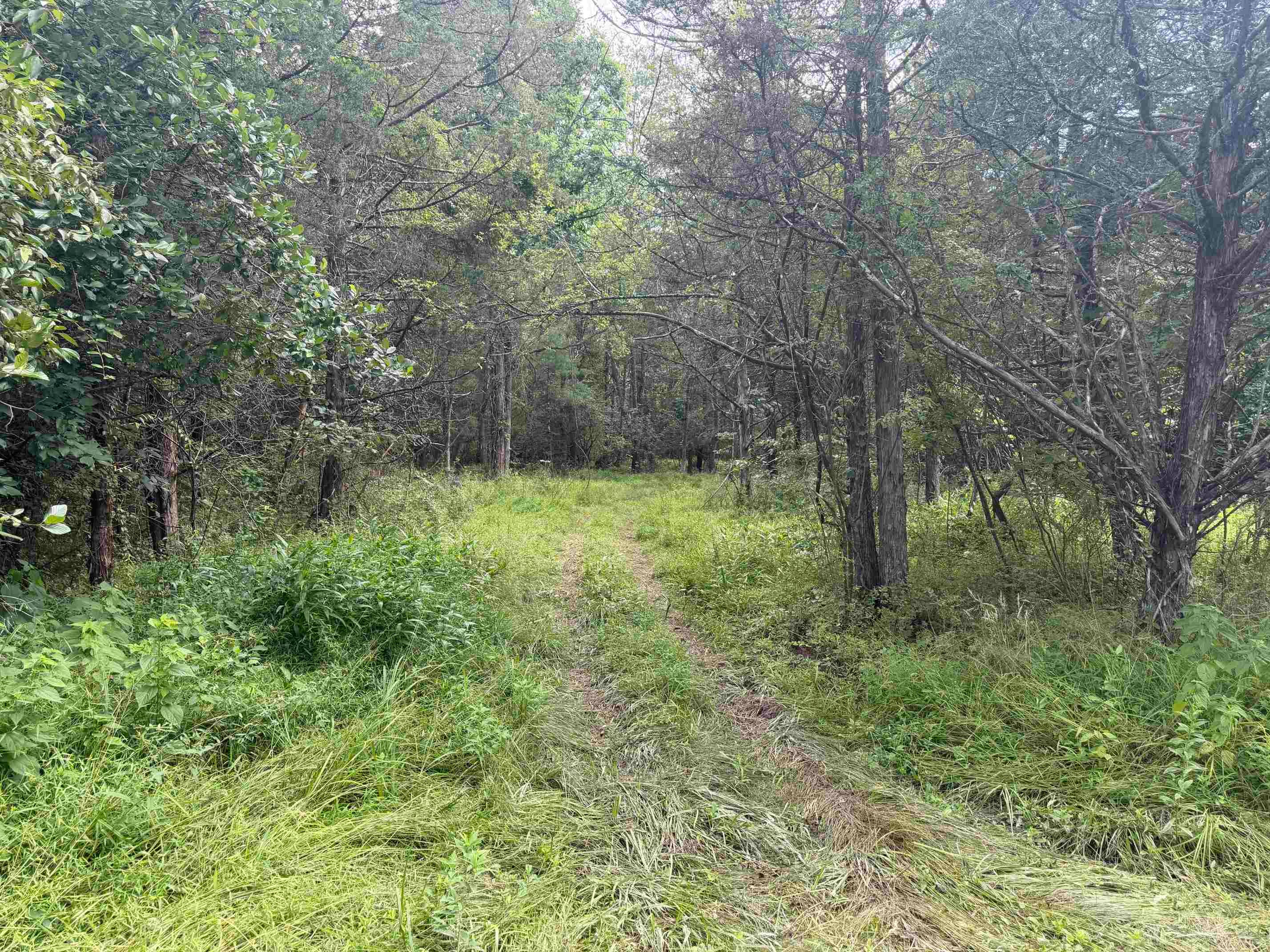 11289 COWPASTURE RIVER HWY