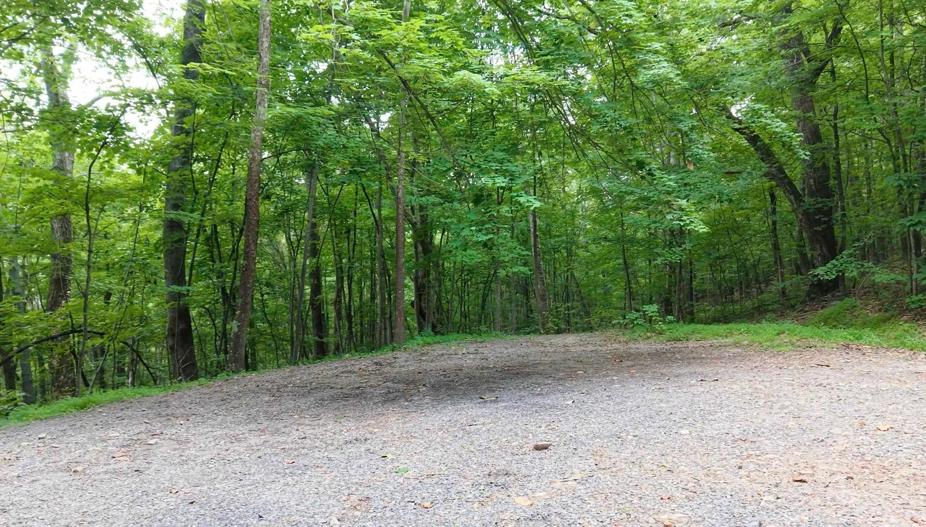 LOT 170 Forest Ridge Trl, Fort Valley, VA, 22652