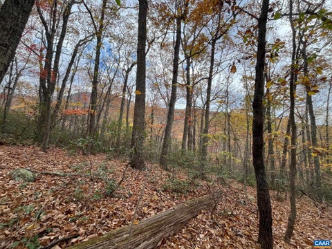 Photo for TREE HOUSE PL