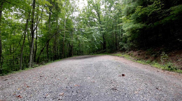 FOREST RIDGE TRL, FORT VALLEY, VA 22652 - Image d5009bcf5db6cbbb5f8df9d95f4f7f42/365358271
