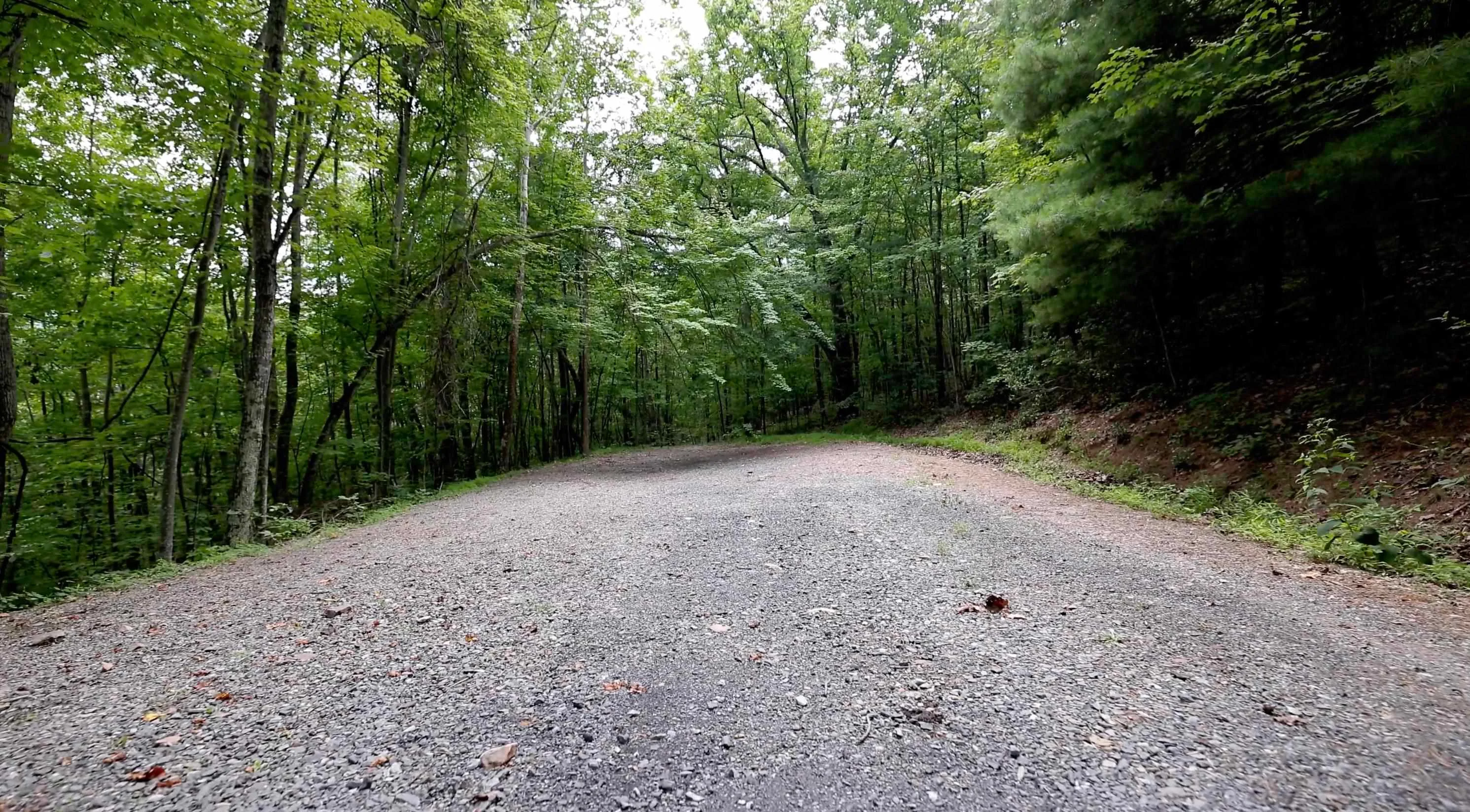 LOT 168 Forest Ridge Trl, Fort Valley, VA, 22652