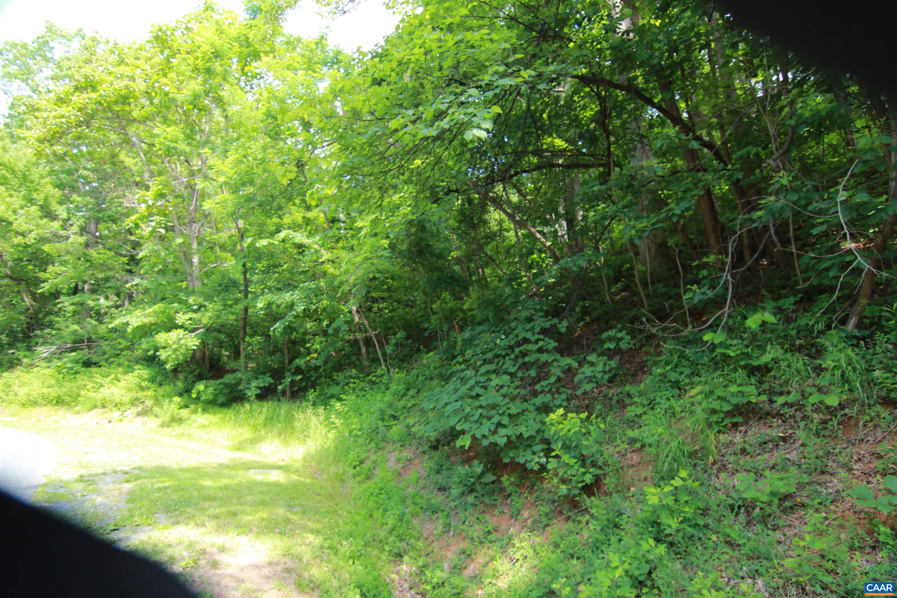 1757 Black Walnut Dr, Nellysford, VA, 22958