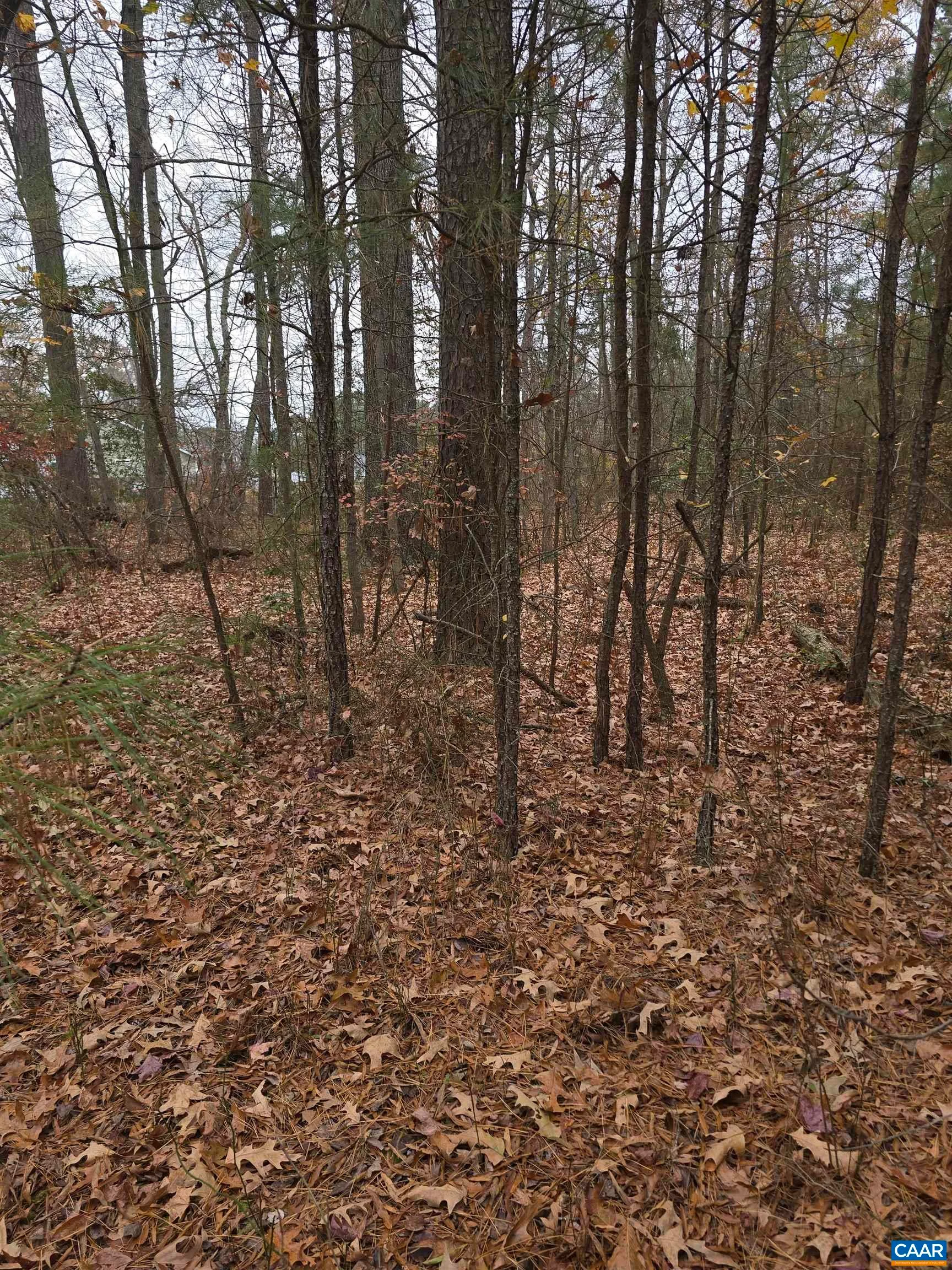 17 Evergreen Dr