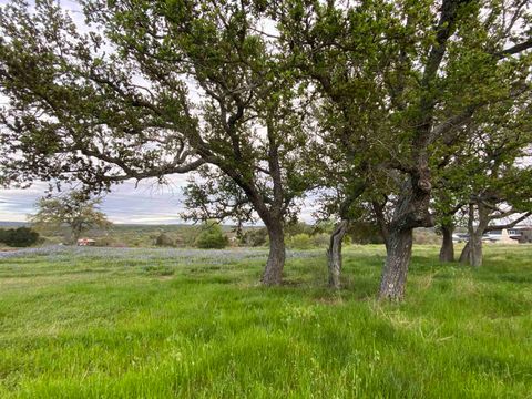 Photo of 303 S Oak Lane, Burnet, TX 78611 (MLS # 176135)