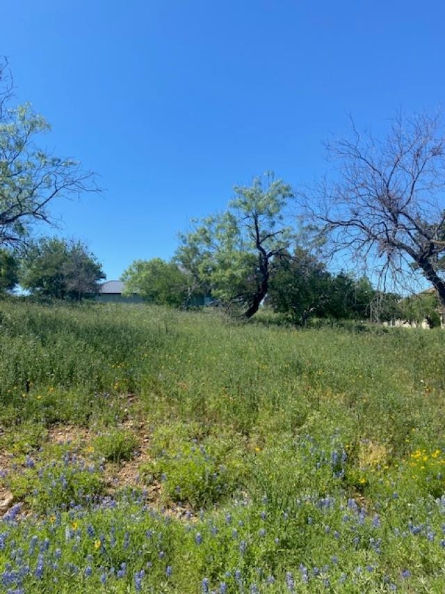 LT W 18072 Spider Valley