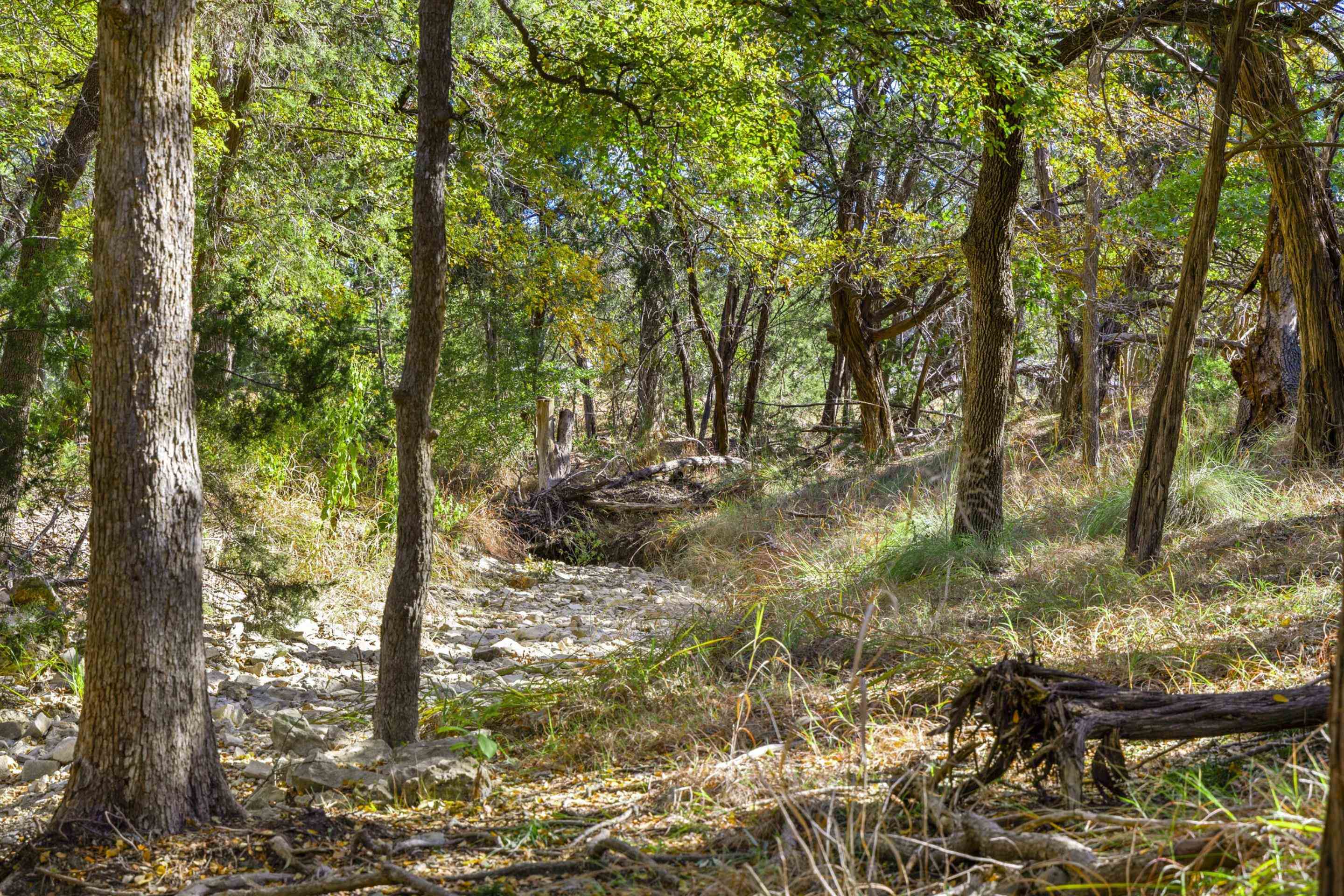 1151 Fawn Valley Drive