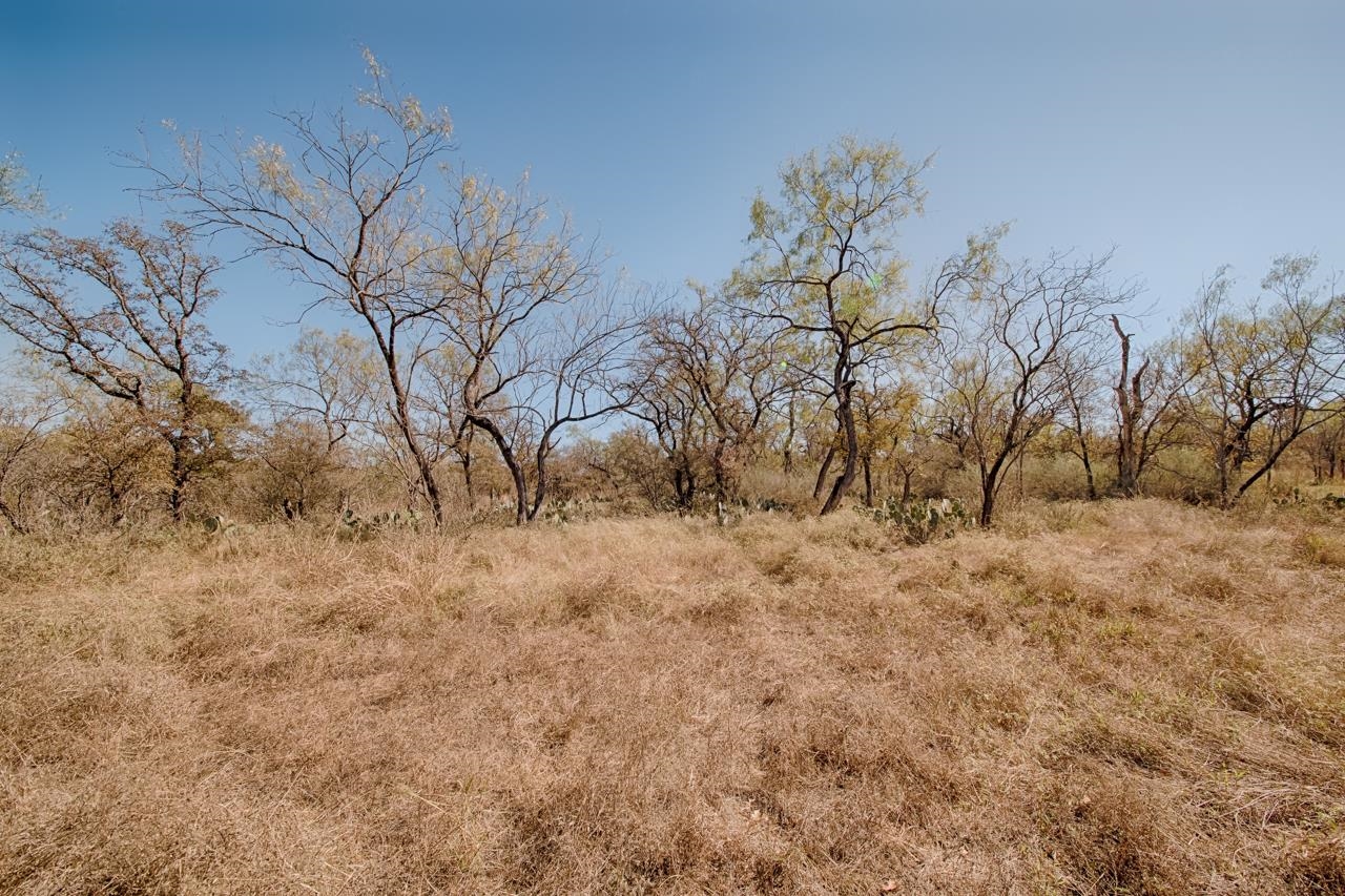 TBD Woodland Hills Drive