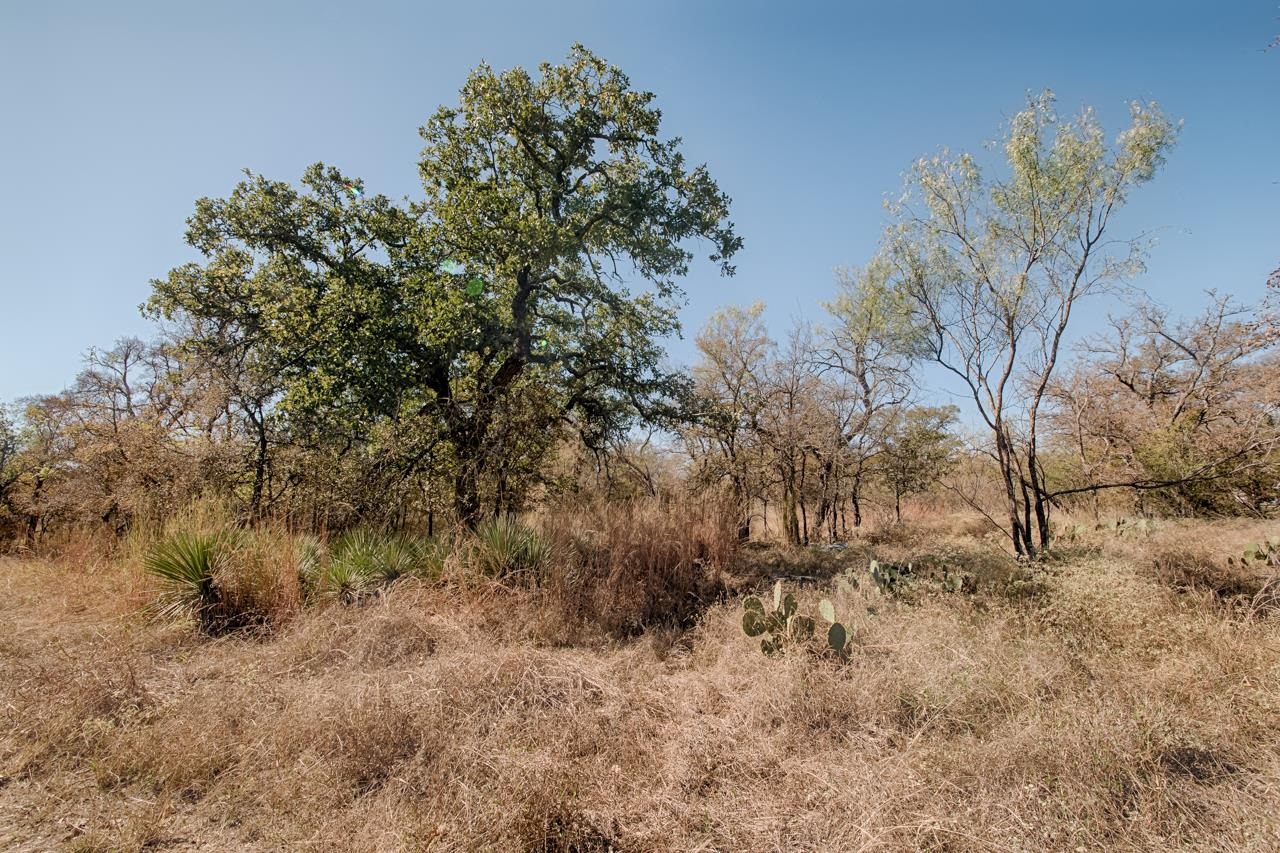 TBD Woodland Hills Drive