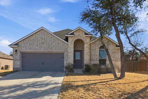 Photo of 232 Cinnamon Loop, Burnet, TX 78611 (MLS # 176649)