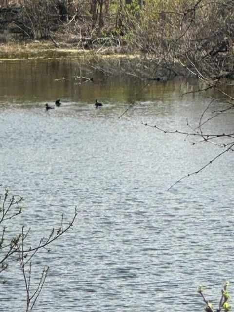 Photo of 8023 Dew Drop, Horseshoe Bay, TX 78657 (MLS # 174705)