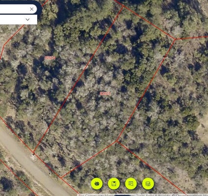 108 WAR BONNET RDG, KINGSLAND, TX 78639 - Image 6437b2aded05b3979dede675e88edf85/2867744830