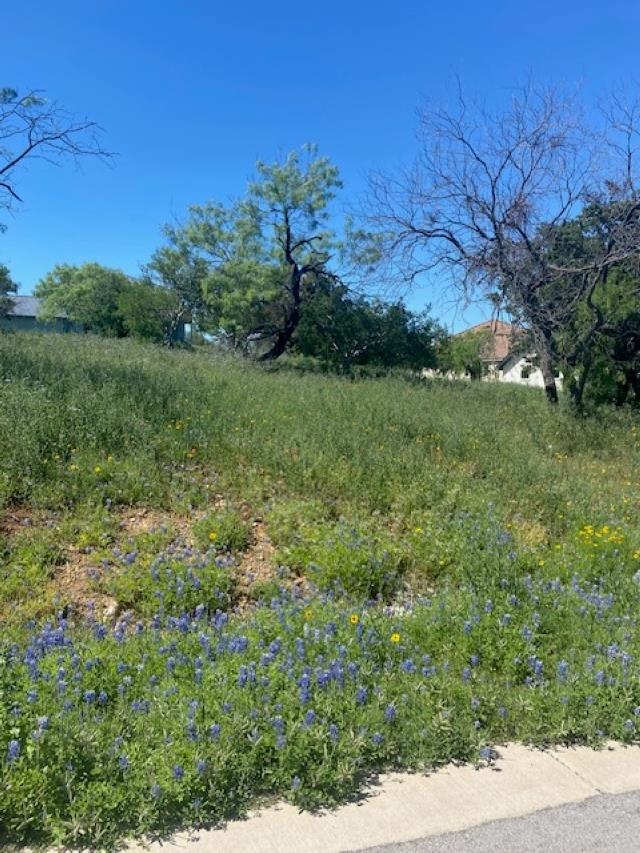 LT W 18072 Spider Valley