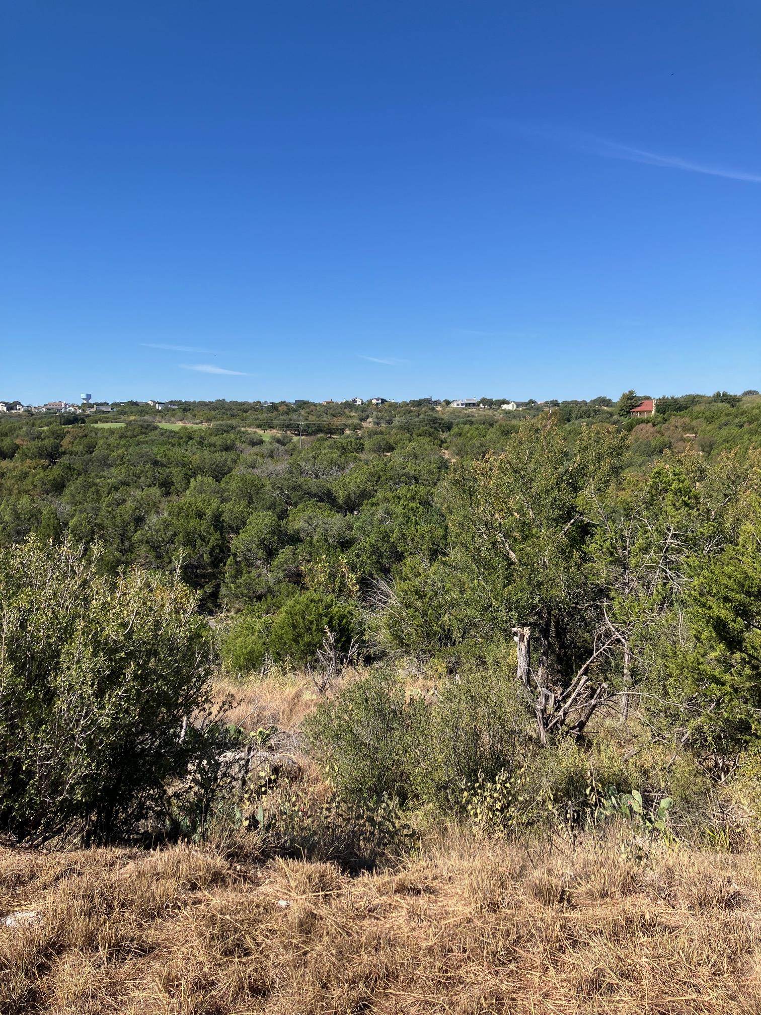 Lot 22139 Lost Dutchman