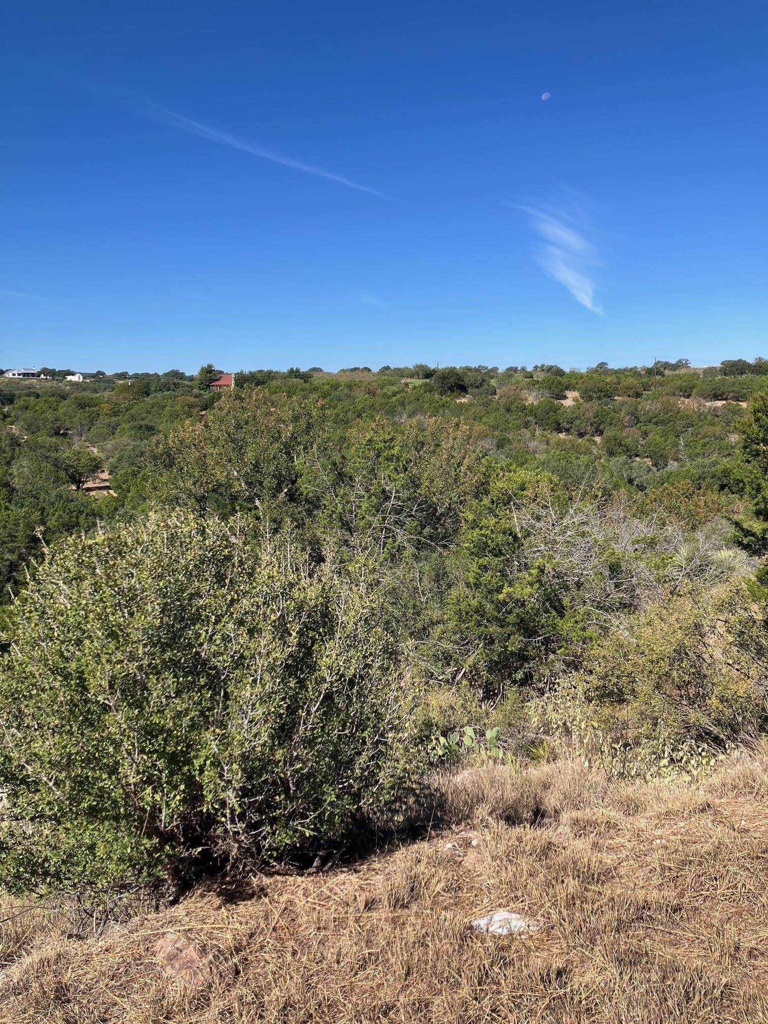 Lot 22139 Lost Dutchman