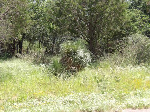 Photo of 352353 Rosehill, Granite Shoals, TX 78654 (MLS # 173782)