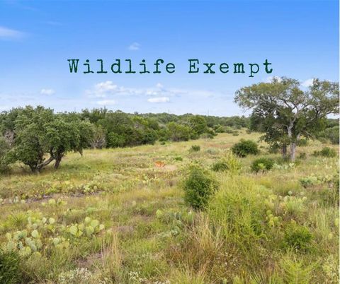 Photo of TBD W Rr 962, Round Mountain, TX 78663 (MLS # 175153)