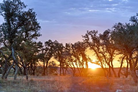 Photo of 142233 Rm 2766, Johnson City, TX 78636 (MLS # 176210)