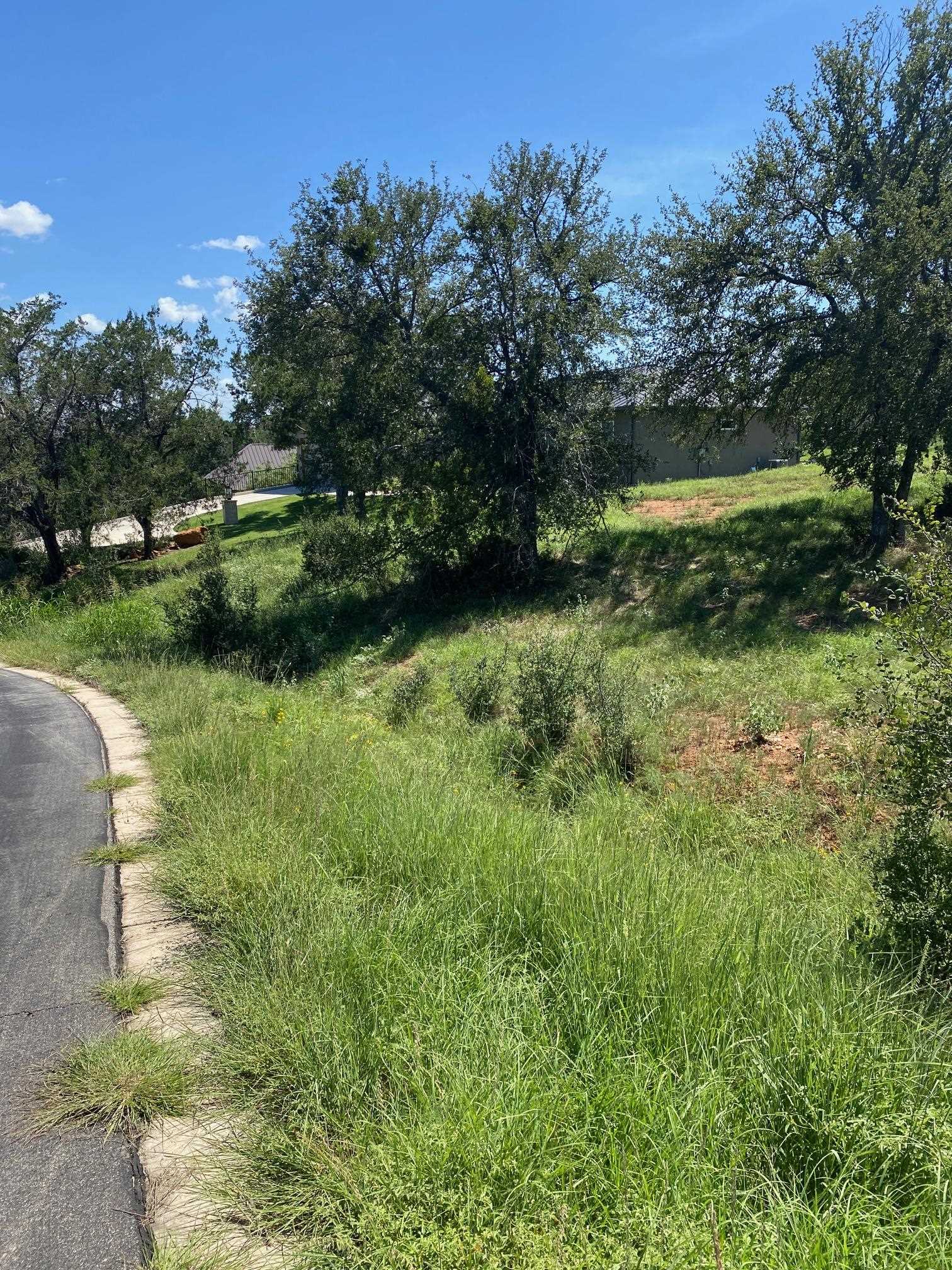 W25065 White Dove/Apache Tears