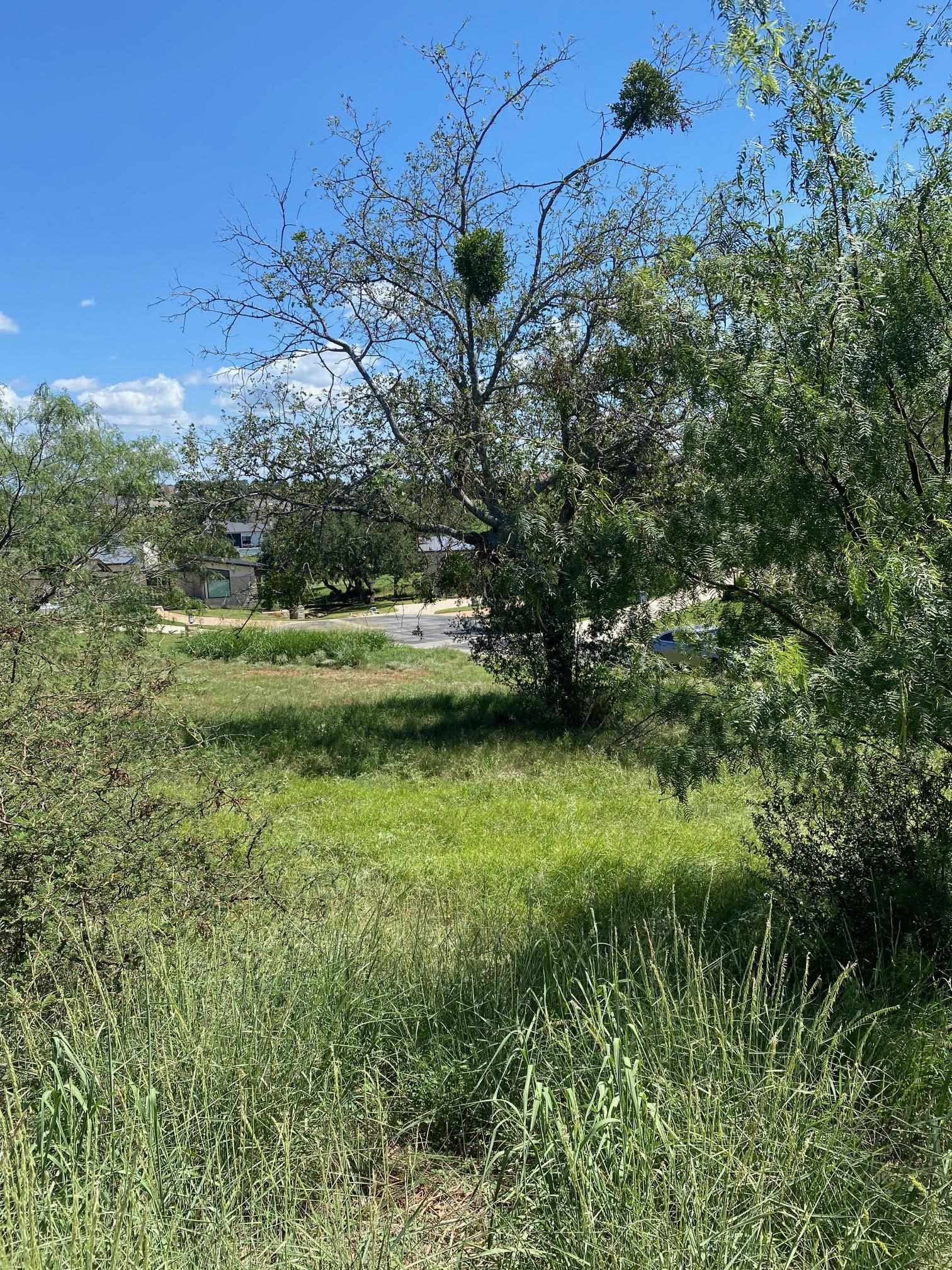 W25058 Apache Tears/White Dove