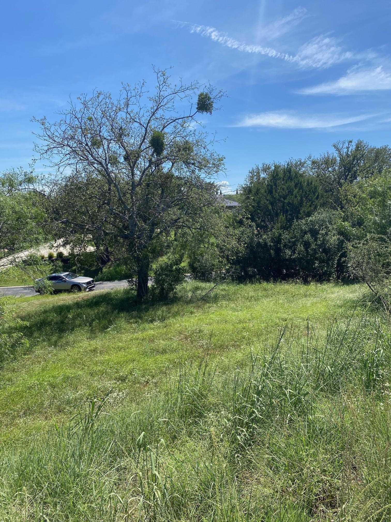 W25058 Apache Tears/White Dove