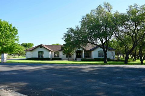 100 Wallace Riddell Drive, Burnet, TX 78611 - #: 171736