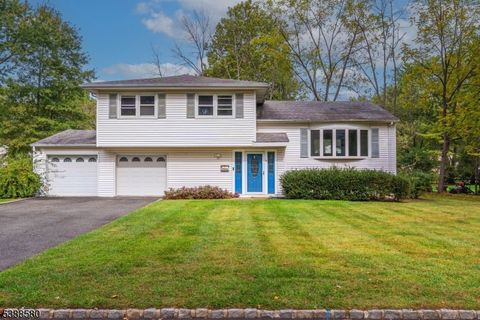 19 Slope Dr New Providence Boro NJ 07974