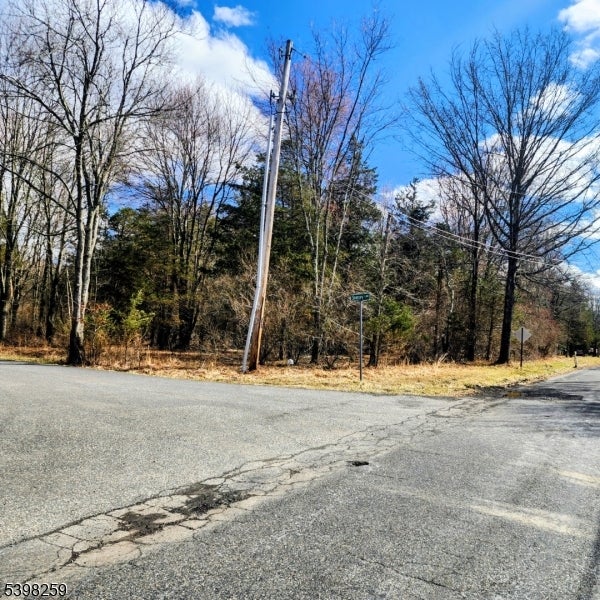 2 Shrope Ln, Frenchtown, NJ 08825