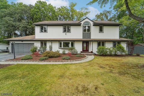 11 Nemic Ln Hanover Twp. NJ 07981