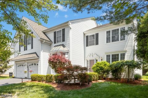43 BLUE RIDGE CIRCLE Scotch Plains Twp. NJ 07076