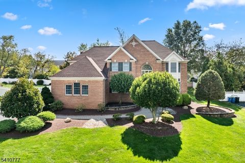 36 Matrick Ct Hillsborough Twp. NJ 08844