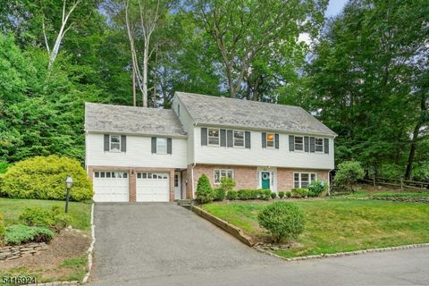 304 Forest Dr Millburn Twp. NJ 07078