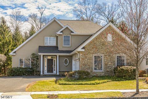 15 Bethpage Dr Montgomery Twp. NJ 08558