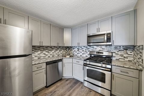 197 Rachel Ct Franklin Twp. NJ 08823