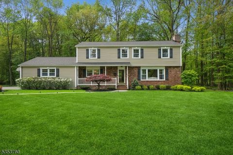 2000 WINDING BROOK WAY Scotch Plains Twp. NJ 07076