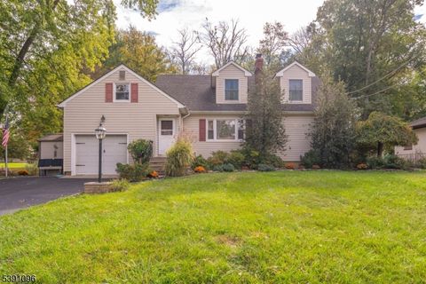 107 Meadow Rd Clark Twp. NJ 07066